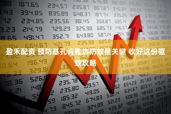 盈禾配资 预防基孔肯雅热防蚊是关键 收好这份驱蚊攻略