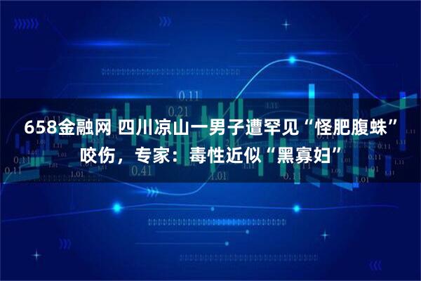 658金融网 四川凉山一男子遭罕见“怪肥腹蛛”咬伤，专家：毒性近似“黑寡妇”