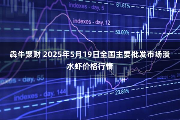 犇牛聚财 2025年5月19日全国主要批发市场淡水虾价格行情
