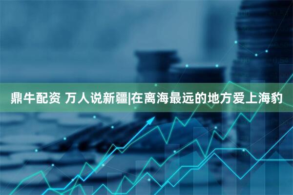 鼎牛配资 万人说新疆|在离海最远的地方爱上海豹