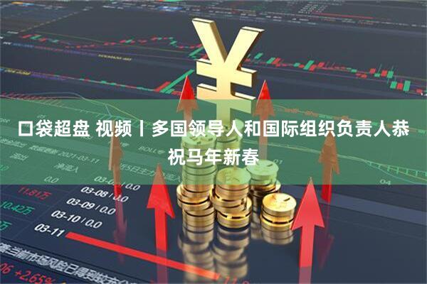 口袋超盘 视频丨多国领导人和国际组织负责人恭祝马年新春