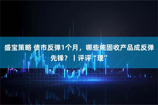 盛宝策略 债市反弹1个月，哪些纯固收产品成反弹先锋？丨评评“理”