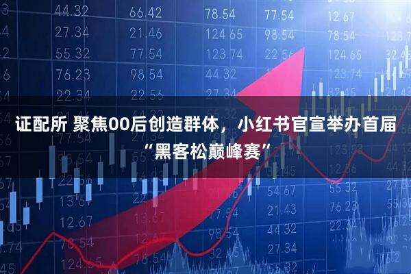 证配所 聚焦00后创造群体，小红书官宣举办首届“黑客松巅峰赛”